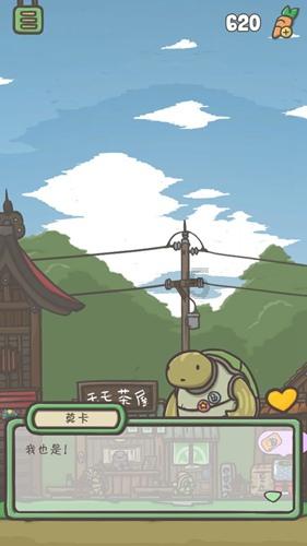 系带夏装