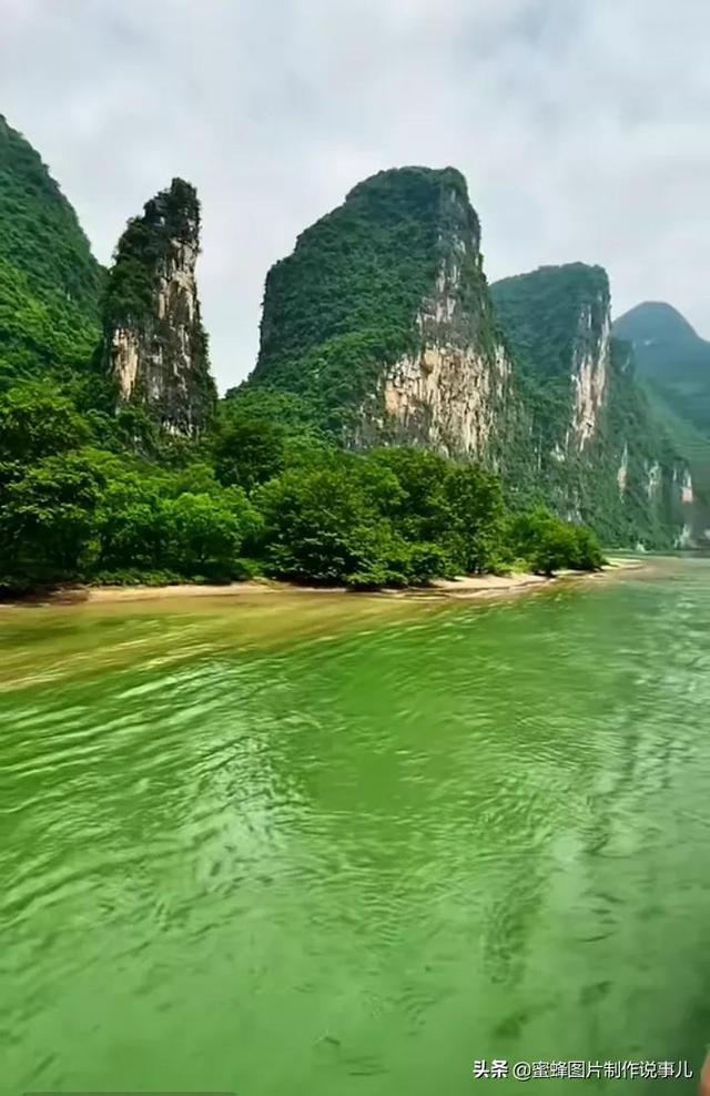 飞扬的方块鸟